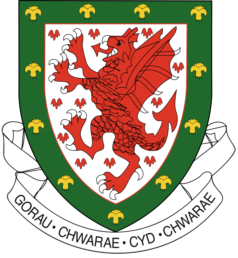Wales badge – Classic Football Shirts Collection