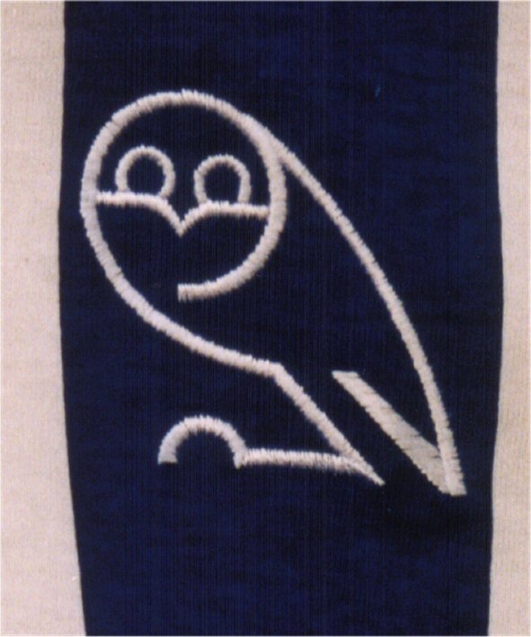 Owl on Sheffield Wednesday badge
