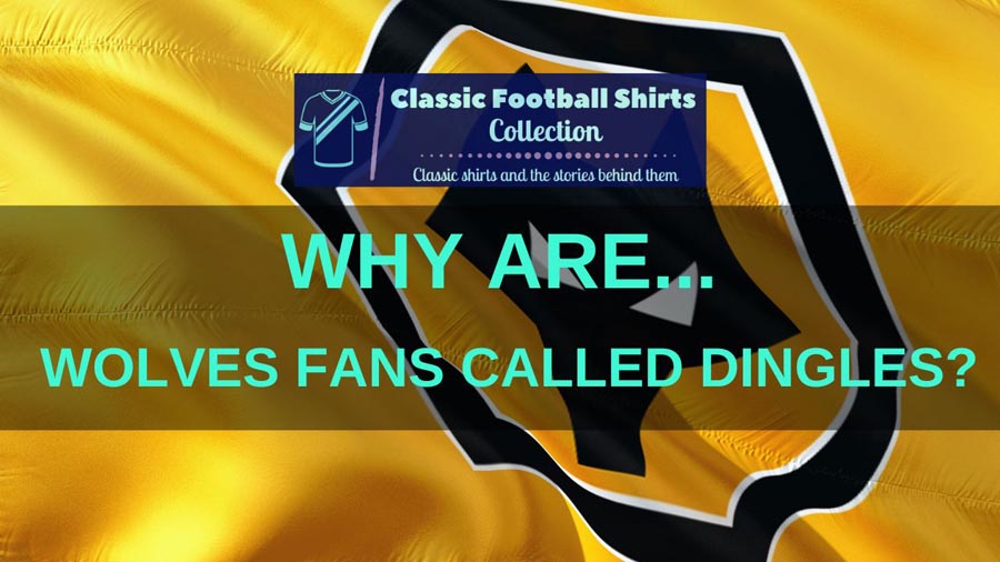 Why Are Wolves Fans Called Dingles? (Solved)