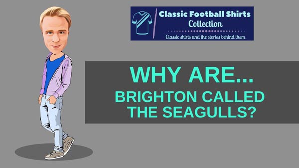 Why Are Brighton Called The Seagulls? (Explained)