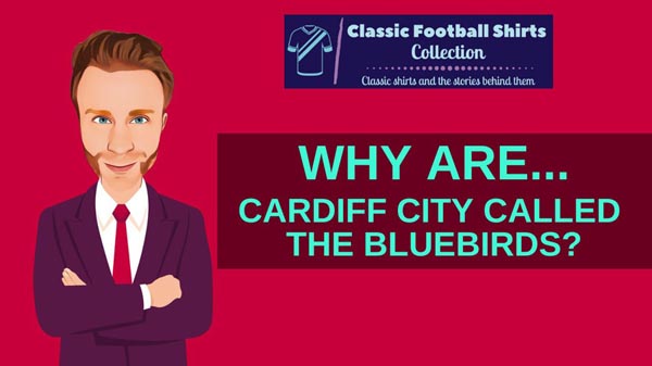 Why Are Cardiff City Called The Bluebirds? (Revealed)
