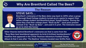INFOGRAPHIC explaining Why Are Brentford Called the Bees
