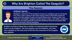 Infographic explaining why Brighton are Called The Seagulls