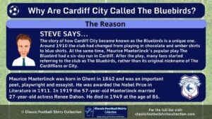 Infographic explaining Why Cardiff City Are Called the Bluebirds