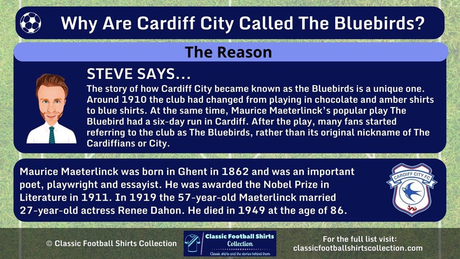 Infographic explaining Why Cardiff City Are Called the Bluebirds