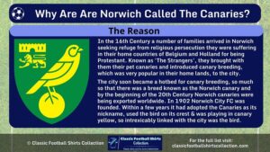 Why Are Norwich Called the Canaries infographic